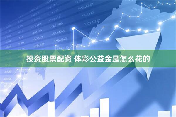 投资股票配资 体彩公益金是怎么花的